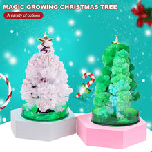Load image into Gallery viewer, Magic Growing Christmas Tree DIY Xmas Gifts Toy for Adults Kids 15cm Mini Growing Cherry Blossom Tree Christmas Gifts Party Decor
