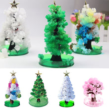 Load image into Gallery viewer, Magic Growing Christmas Tree DIY Xmas Gifts Toy for Adults Kids 15cm Mini Growing Cherry Blossom Tree Christmas Gifts Party Decor
