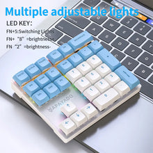 Load image into Gallery viewer, 33 Key Wired Mechanical Numeric Keypad with Multi-color Lights Suitable for Finance, Business, Laptop Numeric Keyboard
