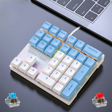Load image into Gallery viewer, 33 Key Wired Mechanical Numeric Keypad with Multi-color Lights Suitable for Finance, Business, Laptop Numeric Keyboard
