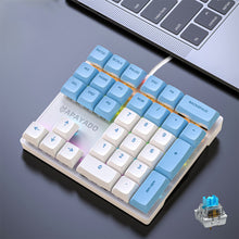 Load image into Gallery viewer, 33 Key Wired Mechanical Numeric Keypad with Multi-color Lights Suitable for Finance, Business, Laptop Numeric Keyboard

