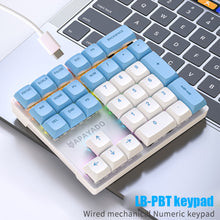 Load image into Gallery viewer, 33 Key Wired Mechanical Numeric Keypad with Multi-color Lights Suitable for Finance, Business, Laptop Numeric Keyboard
