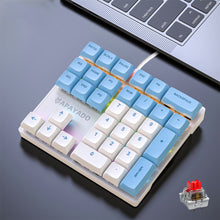 Load image into Gallery viewer, 33 Key Wired Mechanical Numeric Keypad with Multi-color Lights Suitable for Finance, Business, Laptop Numeric Keyboard
