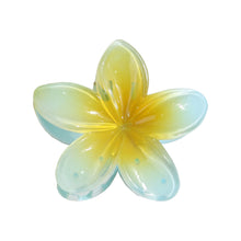 Load image into Gallery viewer, Fashionable Women Beach Vacation Egg Flower Hair Clip Bohemia Flower Claw Female Girls Hair Accessories
