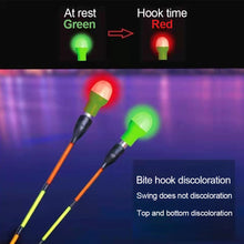 Load image into Gallery viewer, 2PCS 3D Gravity Sensing Night Fishing Drift Taillight Bite Color-Changing Led Light Fishing Float Deep Sea Fishing Accessories
