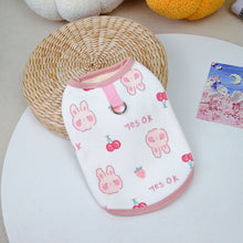Load image into Gallery viewer, Pet Bear Printed Hoodie Coat Winter Warm Pet Clothes for Chihuahua Sweatshirt Puppy Cat Pullover Dogs Pets Clothing
