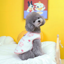 Load image into Gallery viewer, Pet Bear Printed Hoodie Coat Winter Warm Pet Clothes for Chihuahua Sweatshirt Puppy Cat Pullover Dogs Pets Clothing
