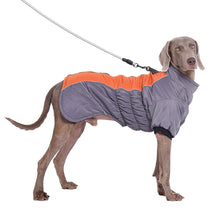 Load image into Gallery viewer, Reflective Winter Warm Thicken Pet Dog Jacket Waterproof High Collar Dog Clothes for Medium Large Dogs Puppy Coat
