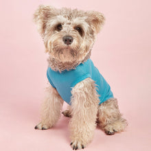 Load image into Gallery viewer, Fashion Letters Printed Pet Dog T-shirt Pure Cotton Dog Clothes for French Bulldog Small Mediun Dogs Soft Breathable
