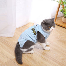 Load image into Gallery viewer, Pet Cat Weaning Cotton Clothes Sterilization Jumpsuit Anti-licking Surgery Recovery Care Suit for Cat Puppy Kitten
