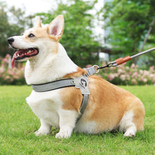 Load image into Gallery viewer, Pet Dog Clothes Soft Breathable Leash Set for Small Medium Dogs Chihuahua Puppy Collar Cat Pet Dog Chest Strap Leash
