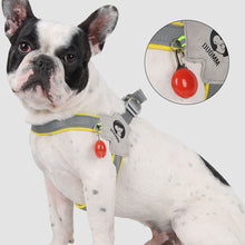 Load image into Gallery viewer, Pet Dog Clothes Soft Breathable Leash Set for Small Medium Dogs Chihuahua Puppy Collar Cat Pet Dog Chest Strap Leash

