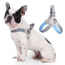 Load image into Gallery viewer, Pet Dog Clothes Soft Breathable Leash Set for Small Medium Dogs Chihuahua Puppy Collar Cat Pet Dog Chest Strap Leash
