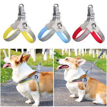 Load image into Gallery viewer, Pet Dog Clothes Soft Breathable Leash Set for Small Medium Dogs Chihuahua Puppy Collar Cat Pet Dog Chest Strap Leash
