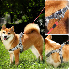 Load image into Gallery viewer, Pet Dog Clothes Soft Breathable Leash Set for Small Medium Dogs Chihuahua Puppy Collar Cat Pet Dog Chest Strap Leash
