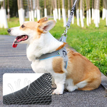 Load image into Gallery viewer, Pet Dog Clothes Soft Breathable Leash Set for Small Medium Dogs Chihuahua Puppy Collar Cat Pet Dog Chest Strap Leash
