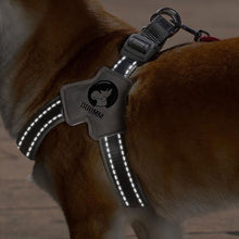 Load image into Gallery viewer, Pet Dog Clothes Soft Breathable Leash Set for Small Medium Dogs Chihuahua Puppy Collar Cat Pet Dog Chest Strap Leash
