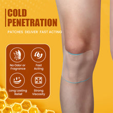 Load image into Gallery viewer, Bee Venom Pain Relieving Cold Compress Patch Relieving Knee Joint Meniscus Pain Skin Tone Elastic Fabric Patch Health Care
