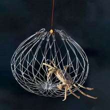 Load image into Gallery viewer, 1PC Automatic Opening And Closing Stainless Steel Fishing Crab Trap With Counterweight Visible Catch Green Crab Sea Crab Cage Outdoor Fishing Accessories
