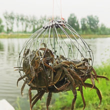 Load image into Gallery viewer, 1PC Automatic Opening And Closing Stainless Steel Fishing Crab Trap With Counterweight Visible Catch Green Crab Sea Crab Cage Outdoor Fishing Accessories

