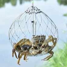 Load image into Gallery viewer, 1PC Automatic Opening And Closing Stainless Steel Fishing Crab Trap With Counterweight Visible Catch Green Crab Sea Crab Cage Outdoor Fishing Accessories
