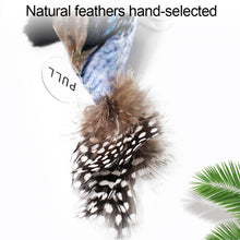 Load image into Gallery viewer, 1Pc Simulation Bird Cat Toy Funny Self-hey Feather Bird Interactive Toys Pet Supplies For Relieves Stress Cat Supplies
