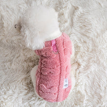 Load image into Gallery viewer, Autumn Winter Pullover Pet Clothes Cute Puppy Kitten Coats Sweater for Small Medium Dogs Cats Warm Winter Outfit

