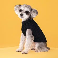 Load image into Gallery viewer, Puppy Dog Sweaters for Small Medium Dogs Cats Clothes Winter Warm Pet Turtleneck Chihuahua Vest Soft Yorkie Coat Teddy Jacket
