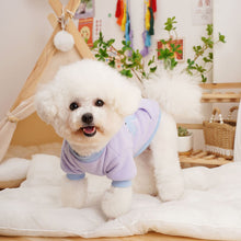 Load image into Gallery viewer, Autumn and Winter Snake Pattern Pullover Pet Clothes Cute Puppy Kitten Coats Sweater for Small Medium Dogs Cats Warm Winter Outfit
