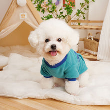 Load image into Gallery viewer, Autumn and Winter Snake Pattern Pullover Pet Clothes Cute Puppy Kitten Coats Sweater for Small Medium Dogs Cats Warm Winter Outfit
