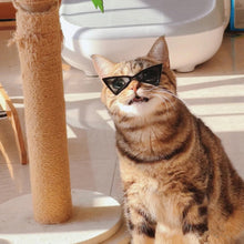 Load image into Gallery viewer, 1PC Lovely Pet Eyeglasses Multicolor Triangle Glasses Fashion Cool Cat Dog Photos Props Accessories Pet Products
