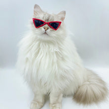 Load image into Gallery viewer, 1PC Lovely Pet Eyeglasses Multicolor Triangle Glasses Fashion Cool Cat Dog Photos Props Accessories Pet Products
