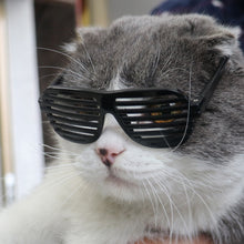 Load image into Gallery viewer, 1Pc Lovely Pet Cat Glasses Dog Glasses Pet Products Cat Toy Dog Sunglasses Photos Props Pet Accessoires Creative Colored Sunglasses
