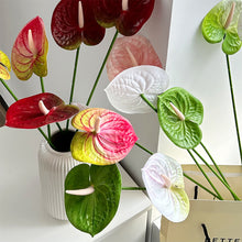 Load image into Gallery viewer, 1Pc Single Branch 3D Simulation Anthurium Home Green Plants Potted Decoration Flower Arrangement Adhesive Tape Artificial Flowers
