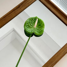 Load image into Gallery viewer, 1Pc Single Branch 3D Simulation Anthurium Home Green Plants Potted Decoration Flower Arrangement Adhesive Tape Artificial Flowers
