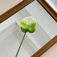 Load image into Gallery viewer, 1Pc Single Branch 3D Simulation Anthurium Home Green Plants Potted Decoration Flower Arrangement Adhesive Tape Artificial Flowers
