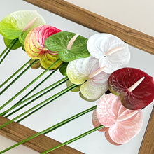 Load image into Gallery viewer, 1Pc Single Branch 3D Simulation Anthurium Home Green Plants Potted Decoration Flower Arrangement Adhesive Tape Artificial Flowers
