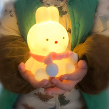 Load image into Gallery viewer, Night Light Silicone Bedroom Decorative Light Button Battery Powered Moonlight Cartoon Animal Light Children's Gift Decorative
