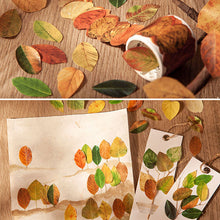 Load image into Gallery viewer, 50 Pcs Kawaiii Leaves Washi Tape Scrapbooking Stickers Cute Sticker Rolls Self-adhesive DIY Decoration Stickers For Arts Crafts
