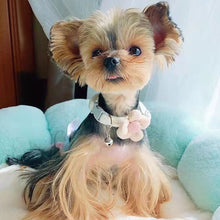 Load image into Gallery viewer, Pet Flower Collar Cute knitting Flower Bell Collar Adjustable Cat Necklace Traction Safety Buckle Puppy Necklace
