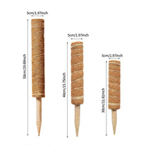 Load image into Gallery viewer, 30/40/50cm Plant Climbing Pole Cane Coir Moss Stick Palm Vines Stick Plant Supportfor Indoor Climbing Plants Creepers
