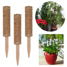 Load image into Gallery viewer, 30/40/50cm Plant Climbing Pole Cane Coir Moss Stick Palm Vines Stick Plant Supportfor Indoor Climbing Plants Creepers
