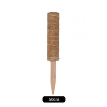 Load image into Gallery viewer, 30/40/50cm Plant Climbing Pole Cane Coir Moss Stick Palm Vines Stick Plant Supportfor Indoor Climbing Plants Creepers
