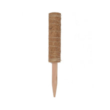 Load image into Gallery viewer, 30/40/50cm Plant Climbing Pole Cane Coir Moss Stick Palm Vines Stick Plant Supportfor Indoor Climbing Plants Creepers
