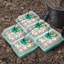 Load image into Gallery viewer, Plant Seed Starter Trays with Full Spectrum LED Grow Light Greenhouse Growing Lamp with Hole 12 Cell Per Tray Seedling Tray Indoor Home Gardening Tools
