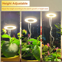 Load image into Gallery viewer, LED Indoor Angel Ring Plant Growth Light 2/4/8H On/Off Timer USB 5V Retractable Height Full Spectrum Simulated Sunlight Plant

