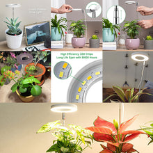 Load image into Gallery viewer, LED Indoor Angel Ring Plant Growth Light 2/4/8H On/Off Timer USB 5V Retractable Height Full Spectrum Simulated Sunlight Plant
