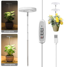 Load image into Gallery viewer, LED Indoor Angel Ring Plant Growth Light 2/4/8H On/Off Timer USB 5V Retractable Height Full Spectrum Simulated Sunlight Plant
