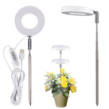 Load image into Gallery viewer, LED Indoor Angel Ring Plant Growth Light 2/4/8H On/Off Timer USB 5V Retractable Height Full Spectrum Simulated Sunlight Plant
