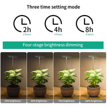 Load image into Gallery viewer, LED Indoor Angel Ring Plant Growth Light 2/4/8H On/Off Timer USB 5V Retractable Height Full Spectrum Simulated Sunlight Plant
